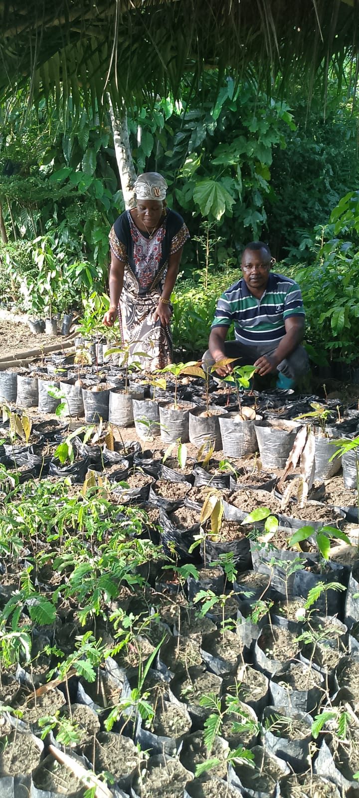 Earth Rangers staff checking tree seedlings in the nursery